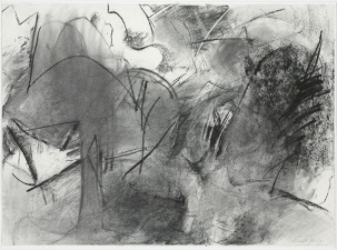 SANDRA K. MEAGHER <i>Conumble</i> Series charcoal on paper