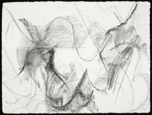 SANDRA K. MEAGHER Other Works on Paper charcoal on paper