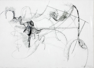 SANDRA K. MEAGHER Other Works on Paper charcoal on paper