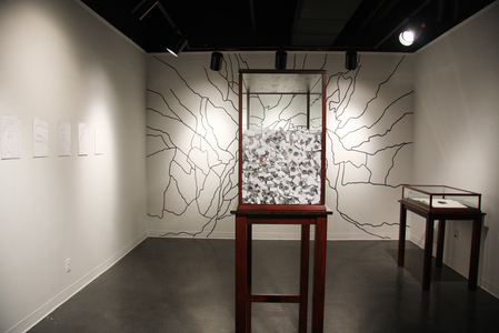 Sarah Iremonger I thought I dreamed of you 2009-10 Wall painting, left pen on paper, wall mounted display holders, centre and right display cases, 5,000 photographs printed as badges, photo album, photographs, plastic bags, badge labels