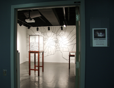 Sarah Iremonger I thought I dreamed of you 2009-10 