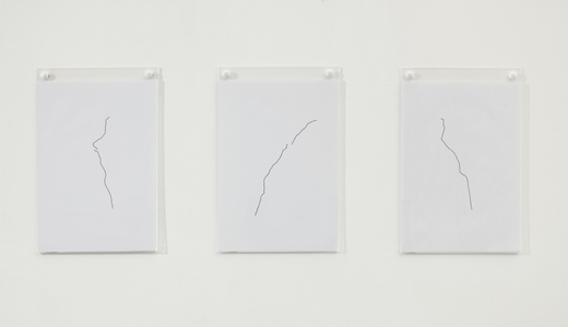 Sarah Iremonger I thought I dreamed of you 2009-10 Pen on paper, wall mounted display holders