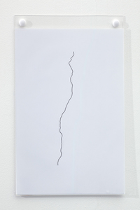 Sarah Iremonger I thought I dreamed of you 2009-10 Pen on paper, wall mounted display holders