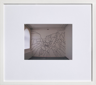 Sarah Iremonger I thought I dreamed of you 2009-10 Pen on photograph