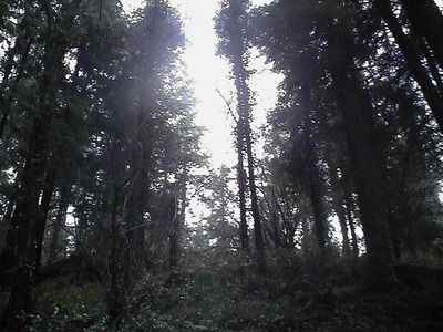 Sarah Iremonger Myths 2006-07 Photograph taken with a video camera, printed on epson glossy photo paper