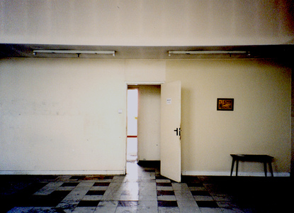 Sarah Iremonger Murals 2000-02 Acrylic paint on wall