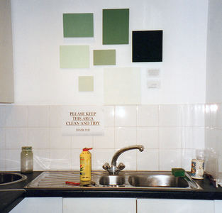 Sarah Iremonger from effect to ideology and back again 2000 Household paint on various boards