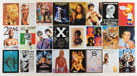 Sarah Iremonger from effect to ideology and back again 2000 24 laminated posters