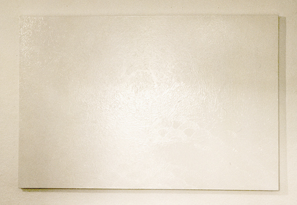 Sarah Iremonger from effect to ideology and back again 2000 Enamel household paint on canvas