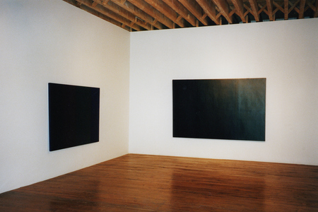 Sarah Iremonger Paintings 1994-97 Oil on canvas on board (both)