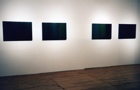 Sarah Iremonger Paintings 1994-97 Oil on canvas on board (all)