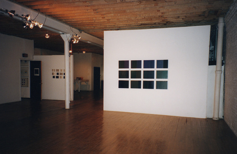 Sarah Iremonger Paintings 1994-97 