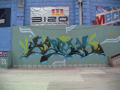 Sarah Iremonger Skate-park 2003 Photograph taken with a video camera
