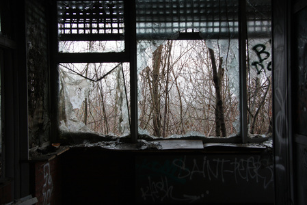 Sarah Iremonger Teufelsberg 2011 Photograph