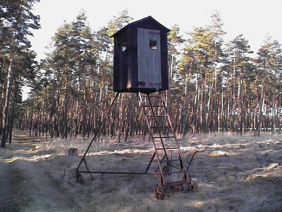 Sarah Iremonger Hunting Boxes 2003 