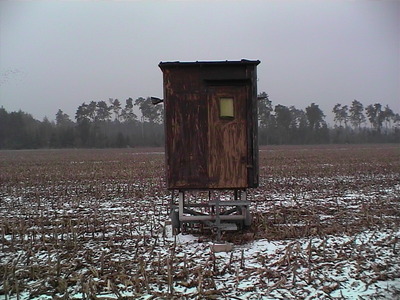 Sarah Iremonger Hunting Boxes 2003 