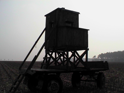 Sarah Iremonger Hunting Boxes 2003 