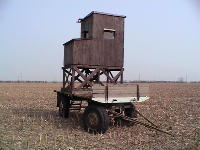 Sarah Iremonger Hunting Boxes 2003 