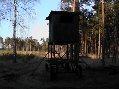 Sarah Iremonger Hunting Boxes 2003 