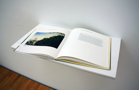 Sarah Iremonger The Travels of Eugen von Guérard 2011-12 Catalogue, shelf