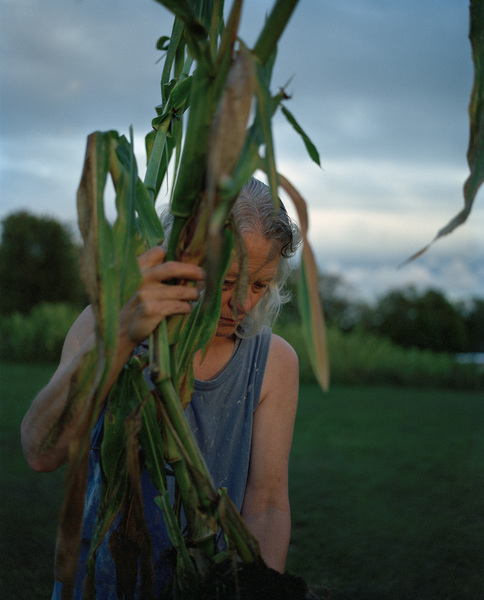 Sarah Pfohl The forest rests also in you (2012-ongoing) 