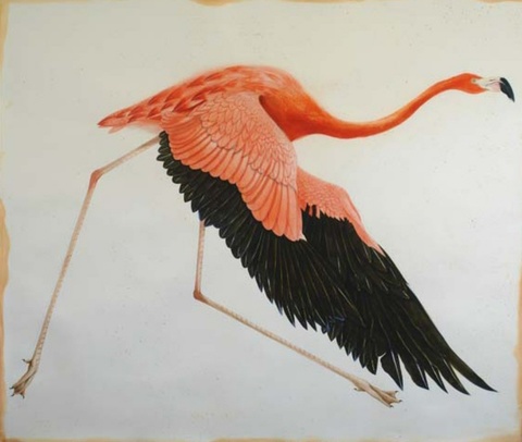 SCOTT KELLEY  BIOGRAPHY  Watercolor on paper 