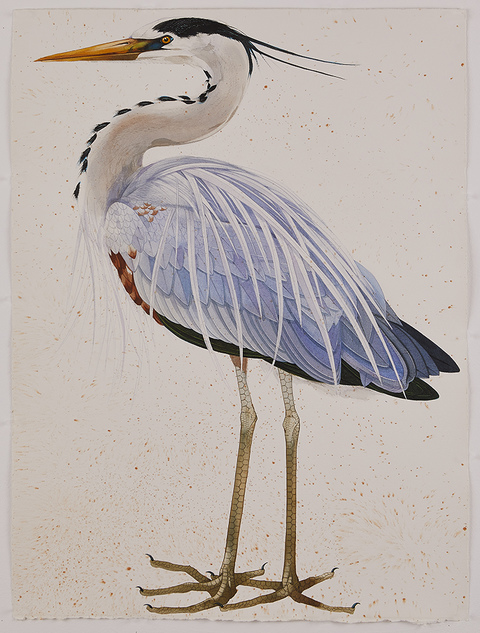 SCOTT KELLEY  LOXAHATCHEE Watercolor on paper 