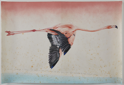 SCOTT KELLEY  INAGUA Watercolor. gouache, acrylic and ink on paper