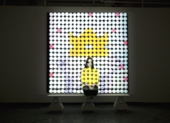 Michelle Scourtos Kill the Infamous Thing The sequenced watercolors being projected function like a stop action video game animation.  This makes the dead bulbs in foam core look a programmed LED display.  To see it in motion, scroll down in the videos section