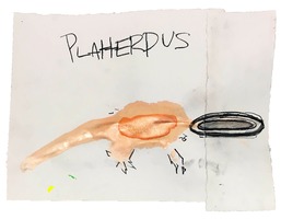 Platterpus