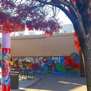 Shawn Turung                            multi media fine art Youth Mural / Teaching Artist Garfield Middle School: outdoor courtyard wall and columns