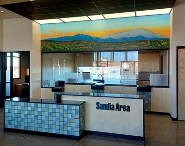 Shawn Turung                            multi media fine art Murals latex