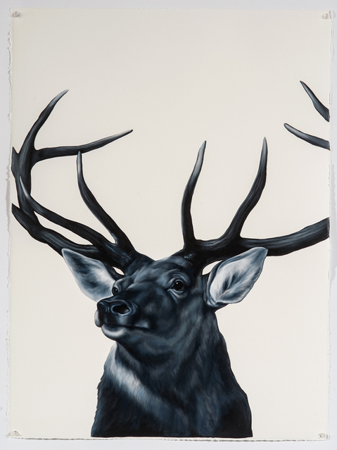 Shelley Reed Fauna 30x22"