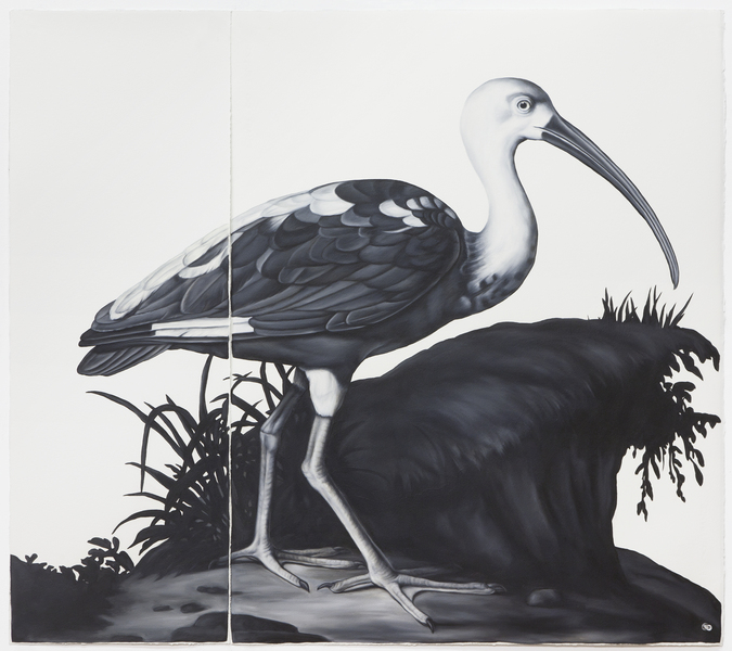 Shelley Reed Fauna oil on paper