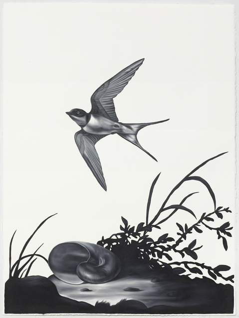 Shelley Reed Fauna oil on paper
