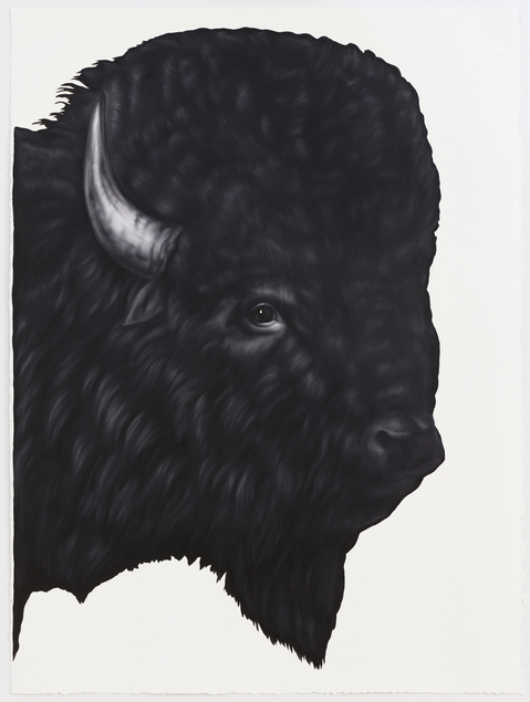 Shelley Reed Fauna oil on paper