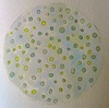  100 CIRCLES A DAY Oil and Pencil on Paper