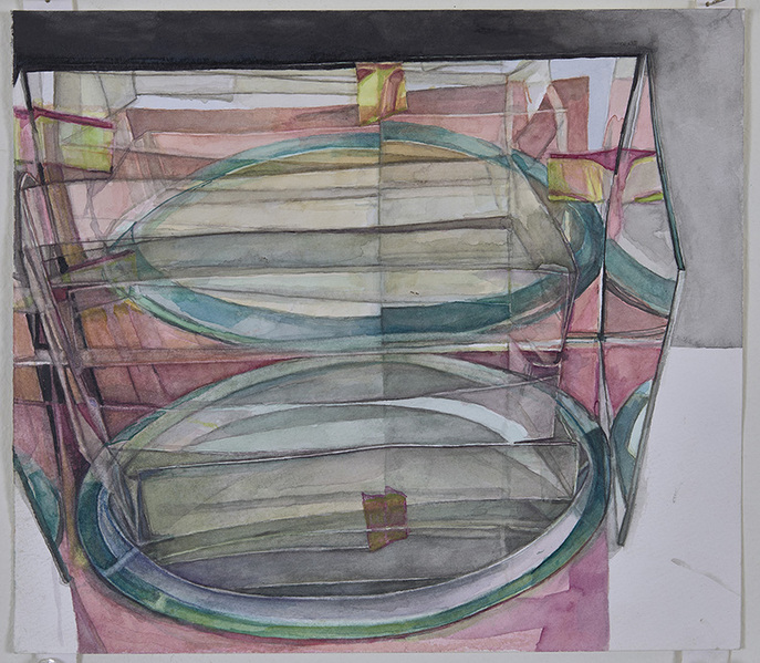 within without VI 19 within without 2009-present watercolor on paper