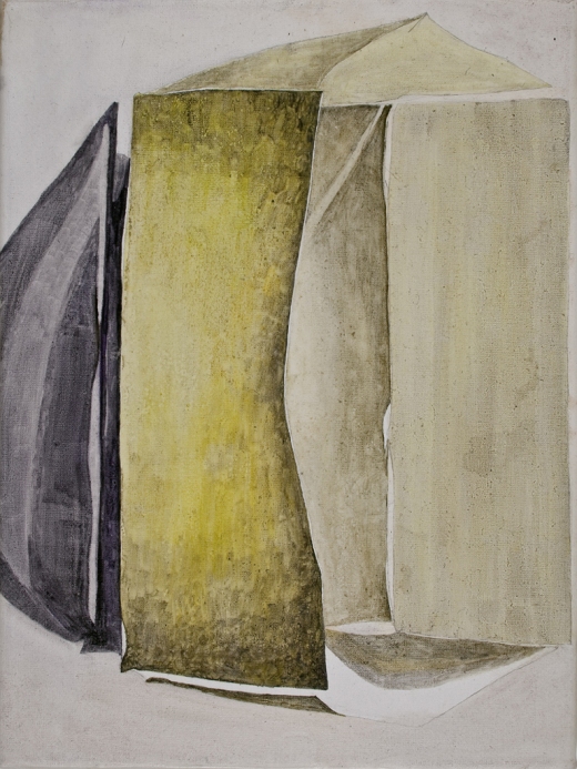 Shoshana Dentz within without 5 "Within Without" 2009-present oil on canvas
