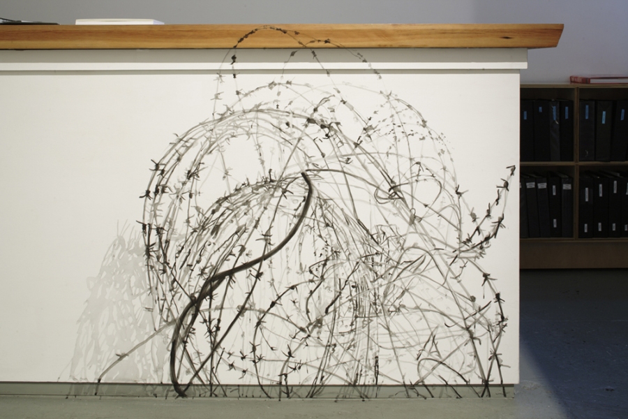  "home lands: fences, portals, tangles" 2004-2007 gouache on wall