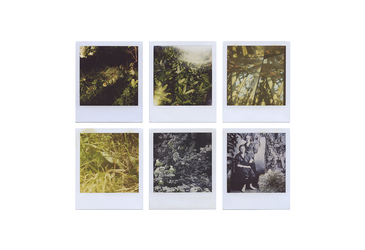 Sideshow Paul Bauman Digital C-prints of Polaroid Collage