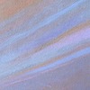 Held in Collections pastel on archival paper