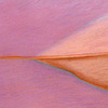  Old Quarry 1980-1982 pastel on archival paper