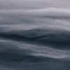  Held in Collections pastel on archival paper