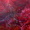  Held in Collections Acrylic on canvas