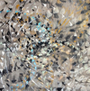  Pheromones Acrylic on board
