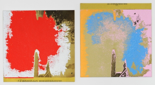  STEREO VIEWS acrylic and inkjet on canvas