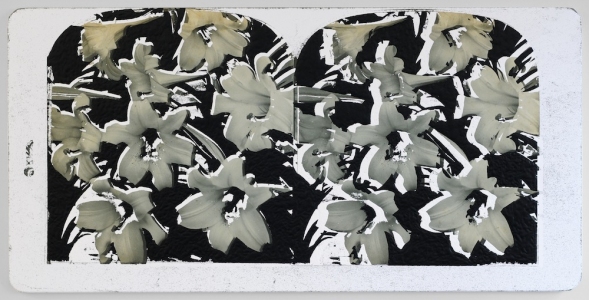  STEREO VIEWS acrylic and inkjet on canvas