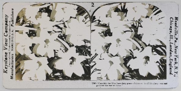  STEREO VIEWS acrylic and inkjet on canvas