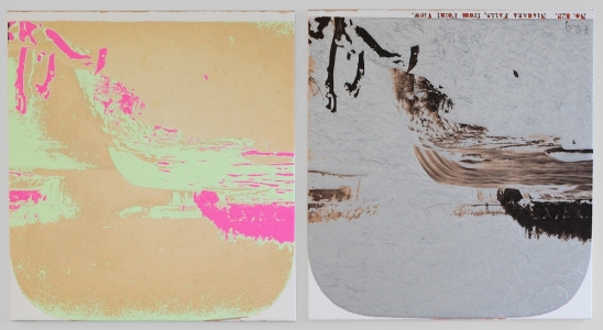  STEREO VIEWS acrylic and inkjet on canvas